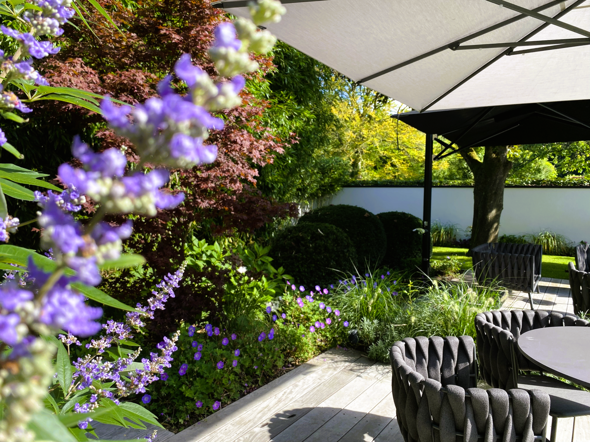 Blühender Garten mit bunten Pflanzen und schattigem Platz zum Entspannen.